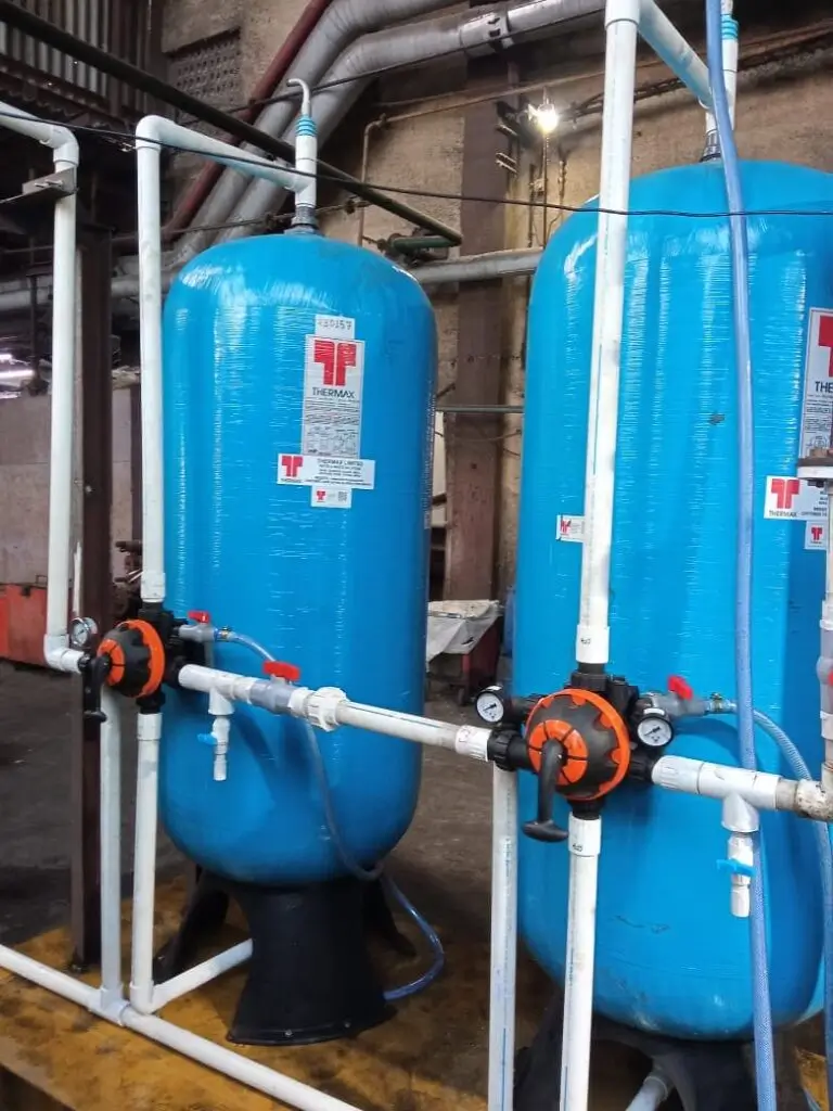 a black cat and a white cat