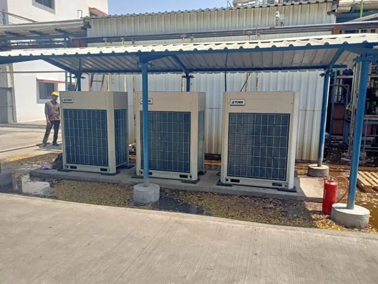 a black cat and a white cat