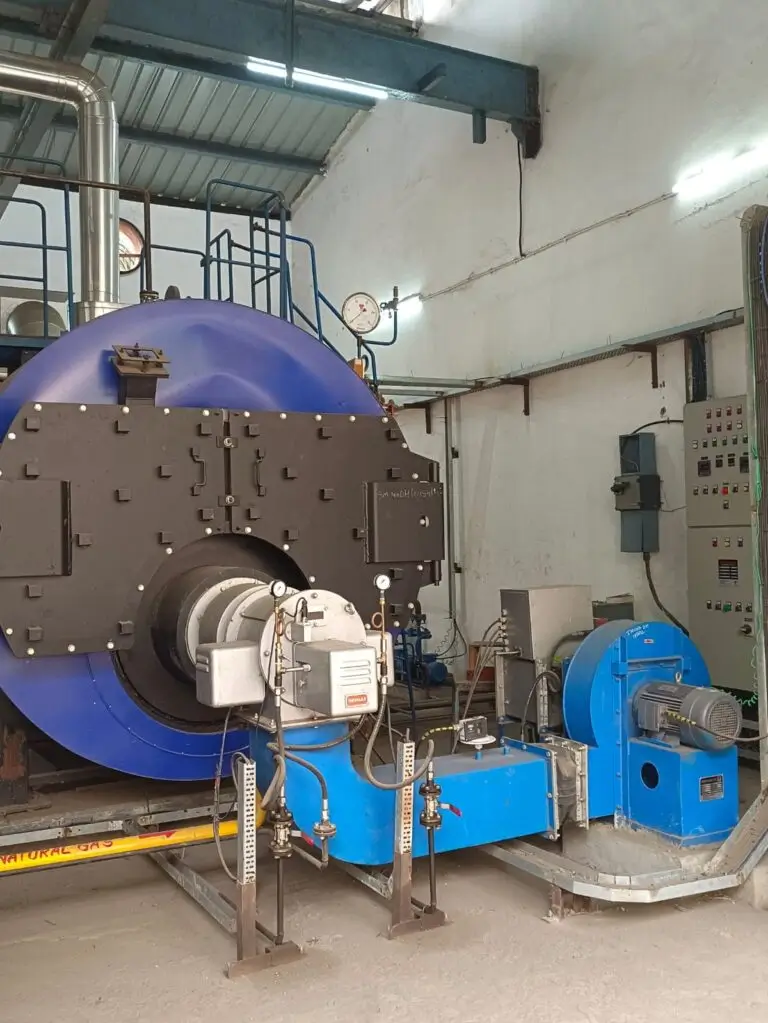 a black cat and a white cat