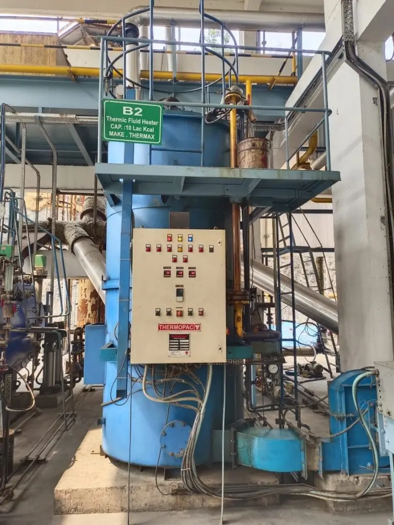 a black cat and a white cat