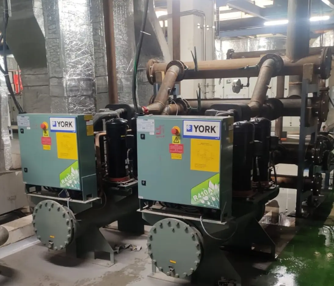 a black cat and a white cat