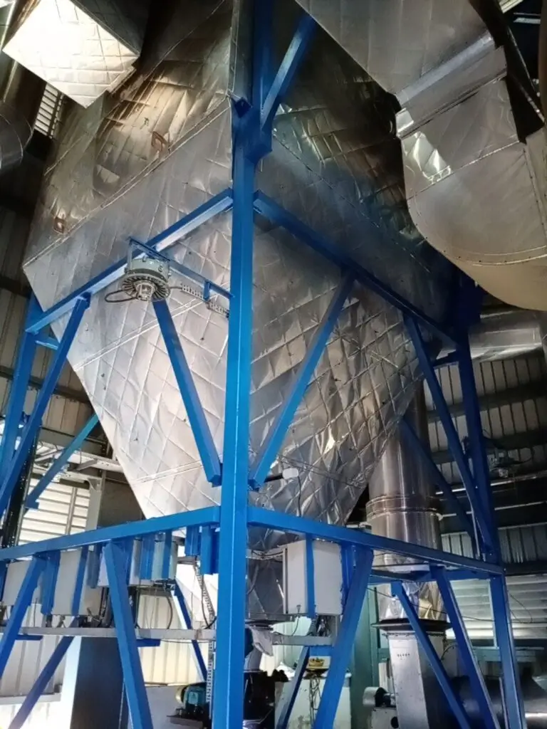 staring garfield cat